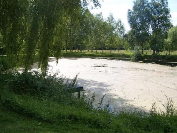 Cottage Proche Circuit 24 Heures Le Mans Proche De Paris Jeux Olympiques Autoroute A 5Km La Chapelle-Saint-Remy 外观 照片